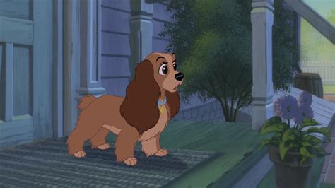 Lady, a golden cocker spaniel, meets up with a mongrel dog who calls himself the tramp. Lady and the Tramp II: Scamp's Adventure screenshots ...