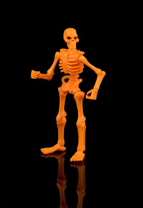 Pumpkin Spice Titan Skeleton Glyos Wiki Fandom