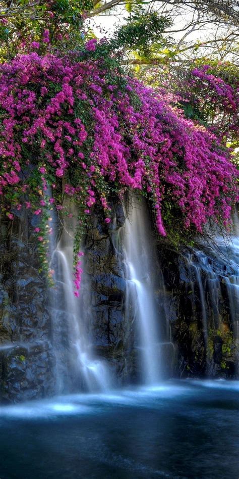 Download 1080x2160 Waterfall Pink Flowers Pond Rocks Moss