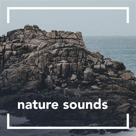 Nature Sounds Nature Sounds Iheart