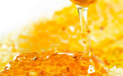 Honey Desktop Wallpaper
