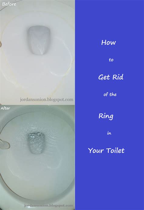 How To Get Rid Of The Ring In Your Toilet Jordans Easy Entertaining