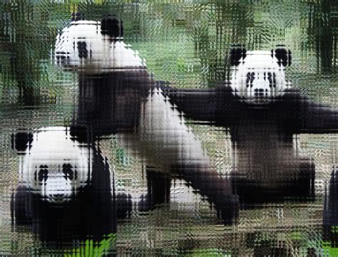 Playing Pandas