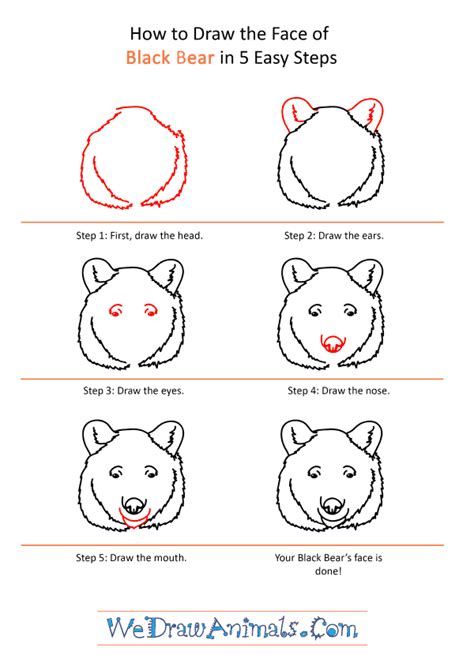 Https://tommynaija.com/draw/how To Draw A Black Bear Face Step By Step