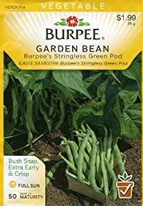 5 to 8 days at 70 to 85 f. Burpee 56473 Bean, Bush Snap Burpee's Stringless Green Pod ...