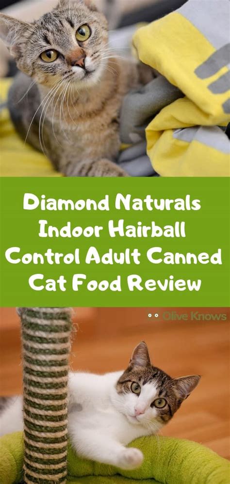 In our experience, royal canin feline health hairball is the best cat food for hairballs providing your cat gets enough moisture from other sources. Diamond Naturals Indoor Hairball Control Adult Canned Cat ...