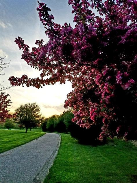 Jun 01, 2021 · a grocery store in avondale. Spring in Avon, Indiana | Park, Sidewalk, Spring