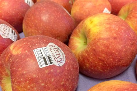 Organic Envy Apples Produce Geek