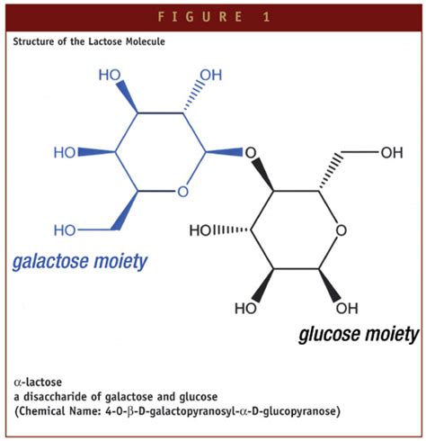 Lactose In Pharmaceutical Applications