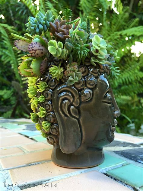 Buddha Head Succulent Planter | Succulents, Planters ... Pot head planters, merredin, western australia.