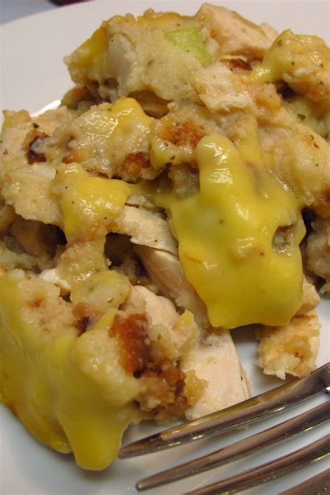 My family loves it when it gets cold out mix green salsa, diced tomatoes with green chile peppers, white beans, chicken broth, corn, onion, oregano, cumin, salt, and black pepper together in a slow cooker. 21 Must Try Chicken Crock Pot Recipes | Slow cooker ...