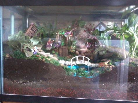 My Fish Tank Fairy Garden Fairy Garden Diy Fairy Garden Designs