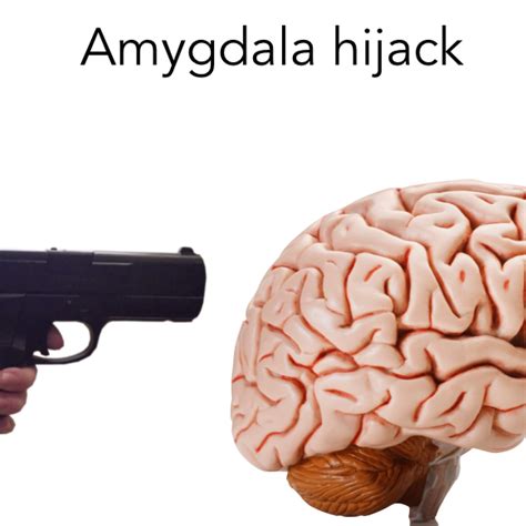 Amygdala Hijack