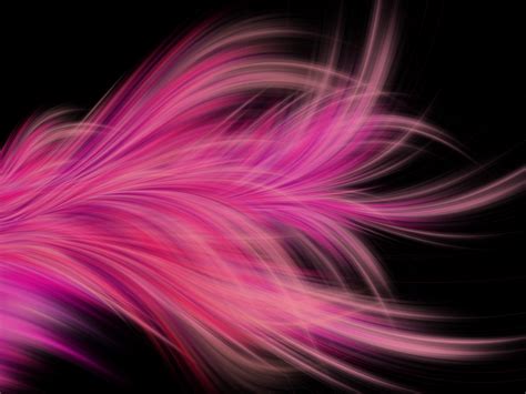 Pink Fractal Abstract Feather Hd Abstract 4k Wallpapers Images