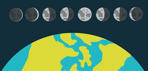 Moon Phases Vector Lunar Calendar Lunar Phases Vector Illustration
