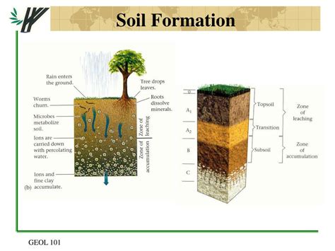 Ppt Chapter 5 Weathering And Soil Powerpoint Presentation Free