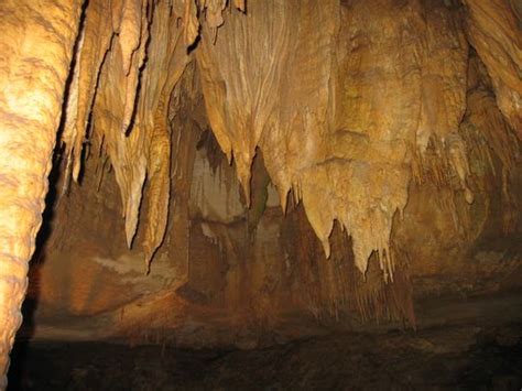 Mammoth Cave National Park Wikitravel