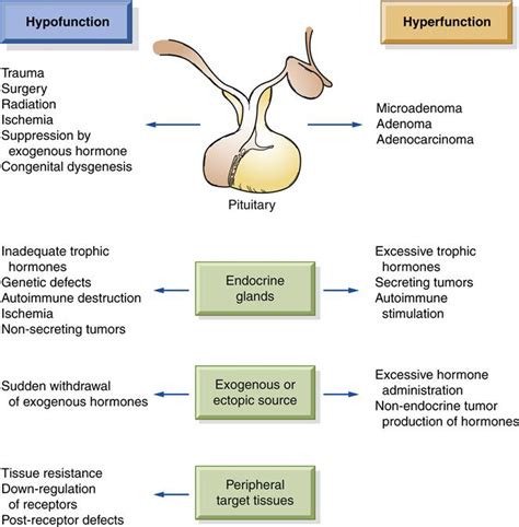 Disorders Of Endocrine Function Basicmedical Key