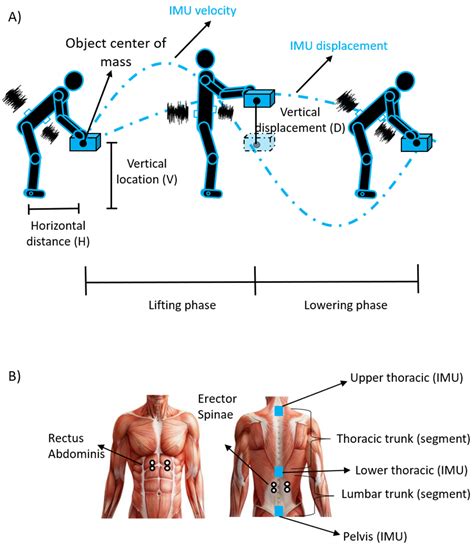 Sensors Free Full Text Trunk Muscle Coactivation In People With And