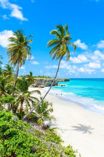 Barbados Beaches Stock Photos Pictures And Royalty Free Images Istock