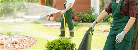 Tarif entretien de jardin : guide complet sur le budget à prévoir