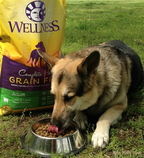 Read honest and unbiased product reviews from our users. #Win Wellness Complete Health Grain-Free Dog Food- 5/3 US ...