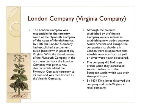 The Virginia Company