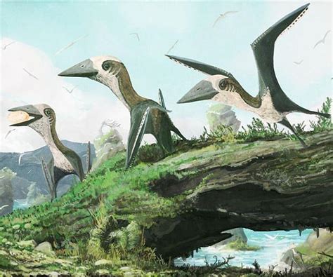 Late Cretaceous Dinosaur Dominated Ecosystem