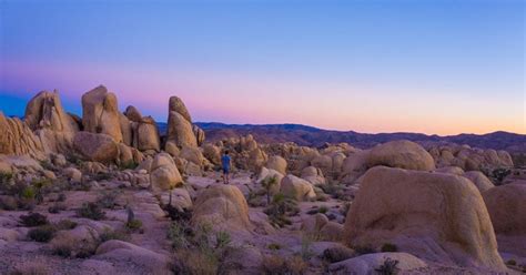 The Best Trails And Outdoor Activities In And Near Joshua Tree National
