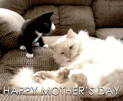 No one can match the love that they have poured into their children! Happy Mothers Day Animated Gif Wishes - Best Animations