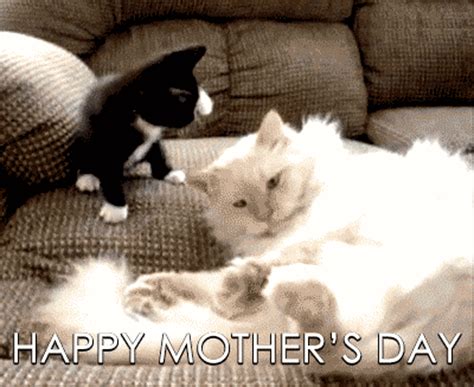When it comes to gif files, you can search for the happy mothers day gif as well as funny mothers day gif at any time. Happy Mothers Day Animated Gif Wishes - Best Animations