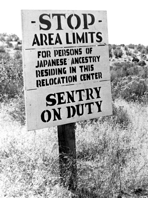 japanese internment camp that s what i d like to know