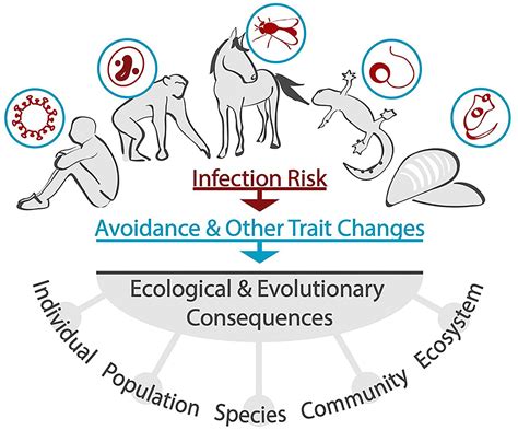 Frontiers Editorial Ecology And Evolution Of Non Consumptive Effects