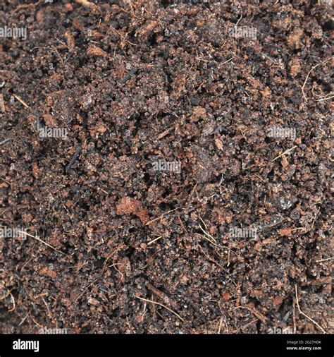 Dark Soil Texture Stock Photo Alamy