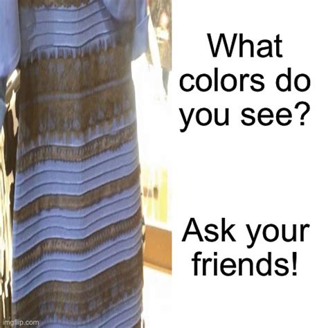 Black And Blue Or Gold And White Imgflip