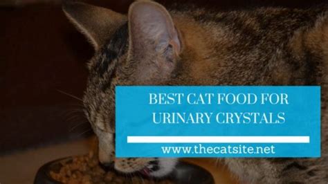 Other meats to try, include: 5 Best Cat Food for Urinary Crystals &Urinary Health 2019 ...