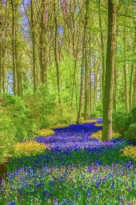 Purple Path Through The Trees By Lisa Lemmons Powers Flowers Under