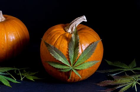 Halloween Weed Cones