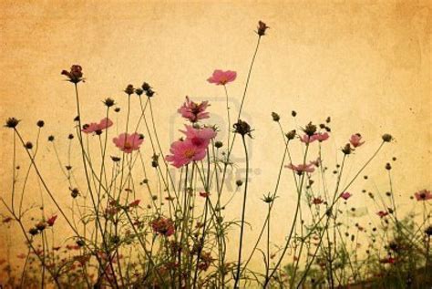 We determined that these pictures can. Vintage Wallpapers Desktop - Wallpaper Cave