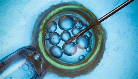 the benefits of a mini ivf treatment california center for reproductive health reproductive