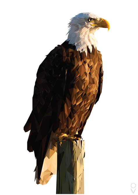Bald Eagle Png Transparent Image Png Arts