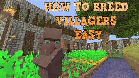 Writing a guide on how to breed villagers in minecraft might be one of the strangest things i've had to do. How To Breed Villagers After All Updates Minecraft - YouTube