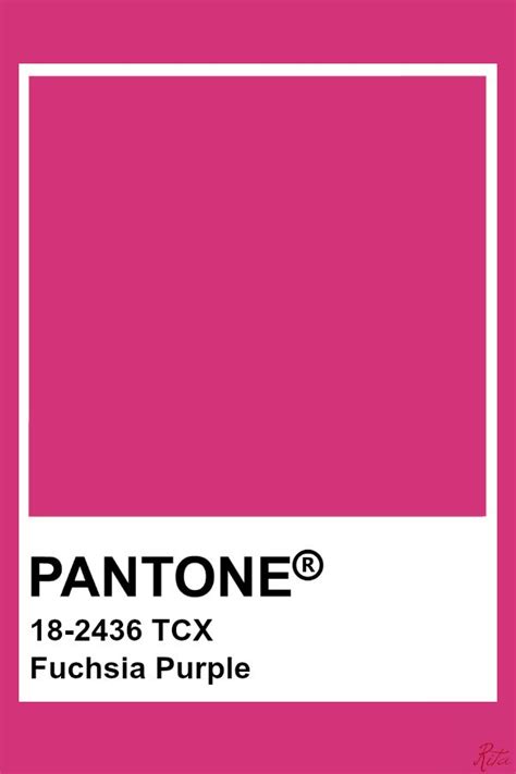 Pantone Fuchsia Purple Pantone Pink Pantone Palette Pantone Colour