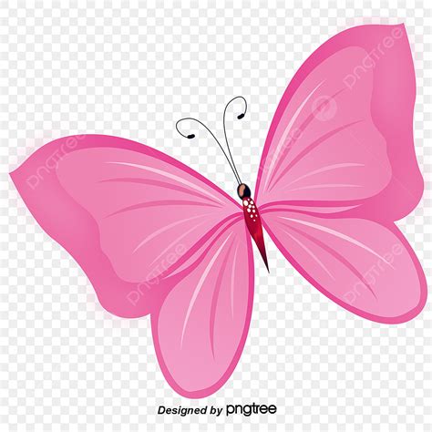 Hand Painted Butterfly White Transparent Hand Painted Pink Butterfly