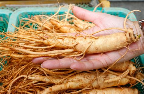 Canadian supply of ginseng piles up after coronavirus puts trade on ...