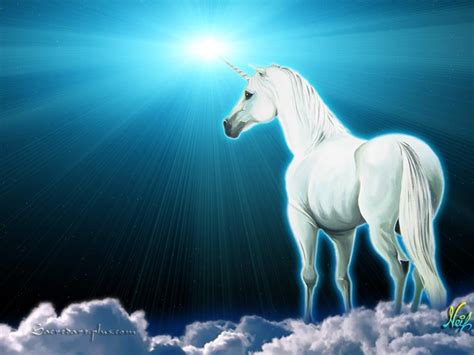 Mystical Unicorn Wallpapers Top Free Mystical Unicorn Backgrounds