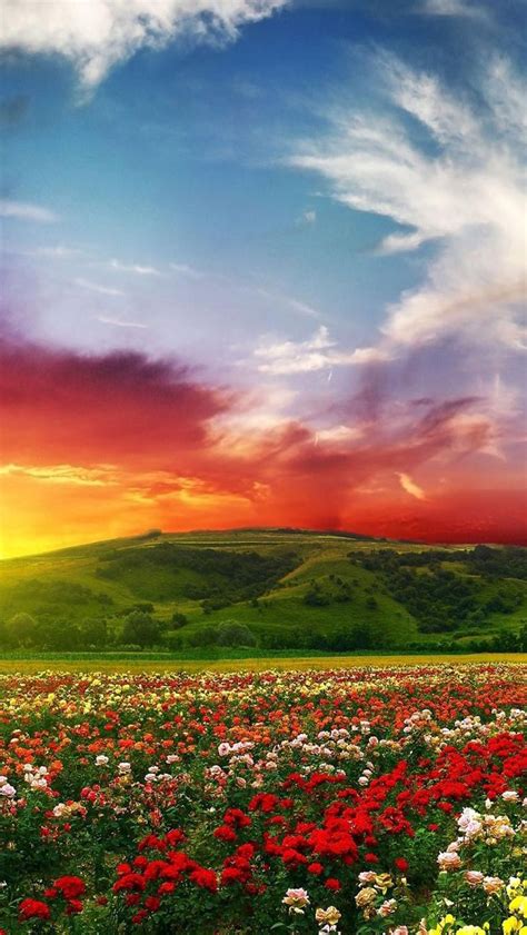 15 Perfect Spring Wallpaper Hd Phone You Can Download It For Free