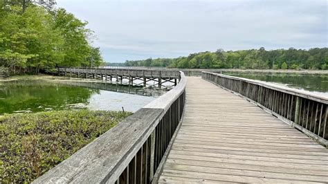 White Oak Nature Trail A Wetlands Hike At Newport News Park
