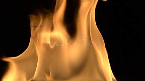 Detailed Fire Background Full Hd Stock Video Video Of Generated
