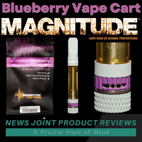 Review Blueberry Vape Cart By Magnitude Illinois News Joint